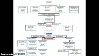 mapa conceptual poder, gobierno y sociedad