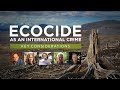 Ecocide as an International Crime: Key Considerations