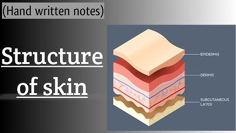 Structure of skin l Urdu lecture l learn with aroosa waheed