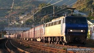 JR貨物 EF200-19号機+コキ24B 貨物列車5058レ 幡生→広島 2013.12