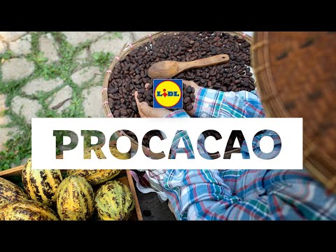 PROCACAO program | Lidl