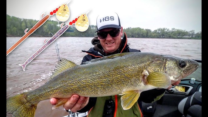 Spinner Rig Walleye Essentials 