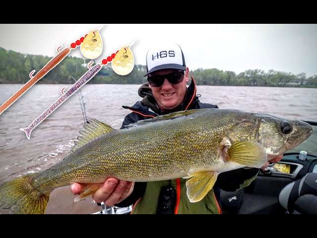 Smashing Walleye on Spinner Rigs w/ Plastic Crawlers (How-To