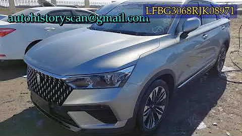 LFBG3068RJK08971 Best T 77 2024