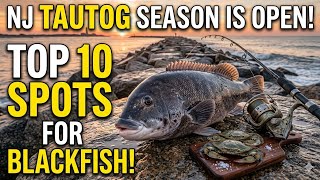 NJ Tautog Season is OPEN! Top 10 Spots for Early Spring Blackfish