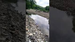 Река малая хоста Сочи
