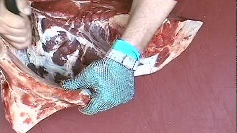 Beef Hindquarter Rump Primal Removal and Preparation