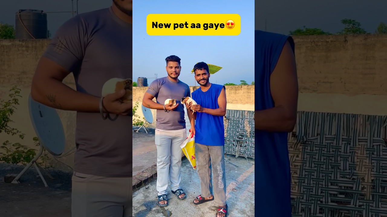 New pet aa gaye😍 