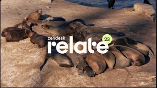 Find your customer experience herd