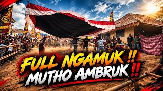 Full ngamuk!! Mutho ambruk !! Jaranan dor patoman live lohjinawi 21/09/26