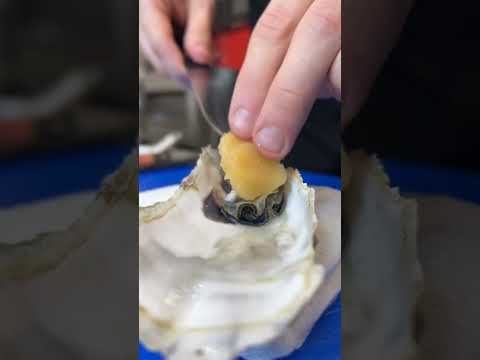 Двойная порция вкуса: