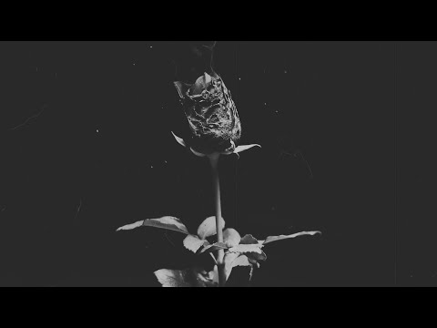 KOZMA Feat. Hegedűs