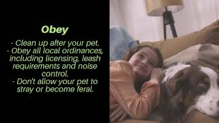 Pauley's Pups - Responsible Pet Ownership