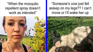 Hilarious Pics Of Humans And Animals Coming To Terms With Unexpected Situations