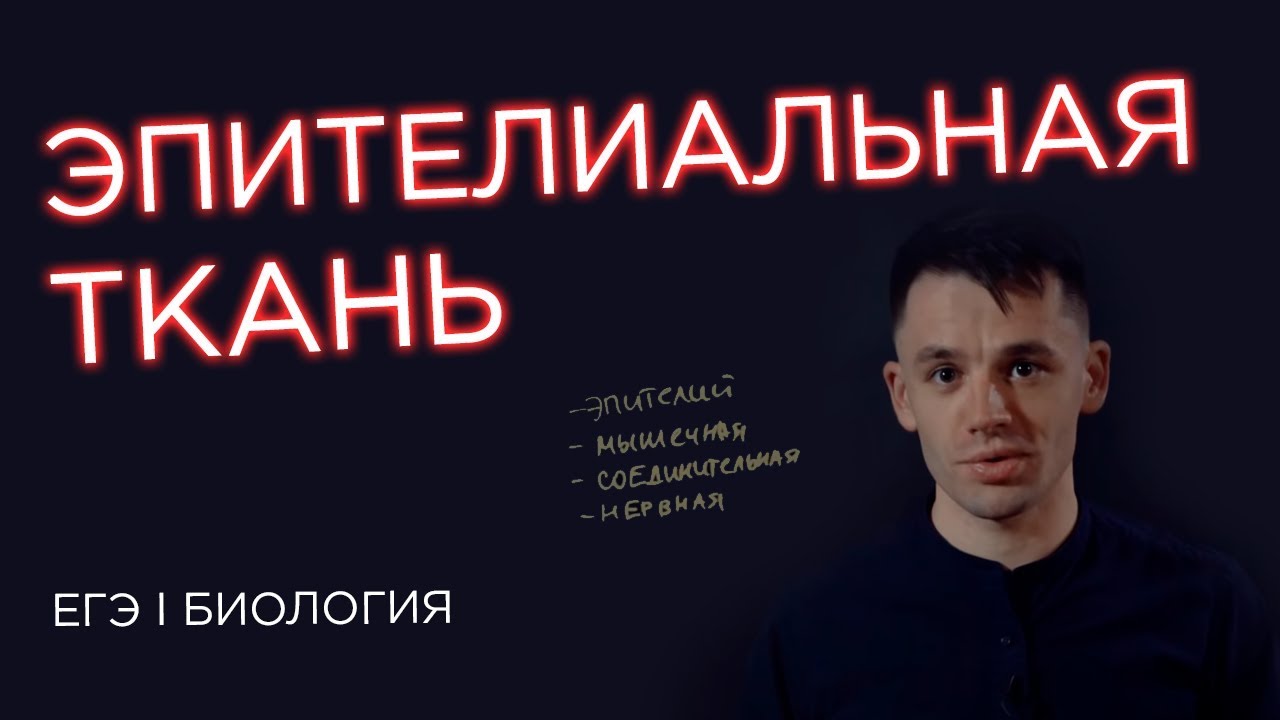 Эпителиальная ткань I ЕГЭ Биология 2020 | Даниил Дарвин | Вебиум