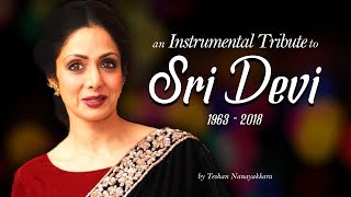 Sridevi (1963-2018) | Instrumental Tribute | Teshan Nanayakkara screenshot 5