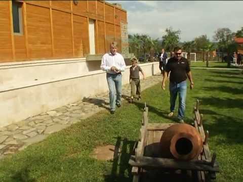 Grape Harvesting in Kvareli