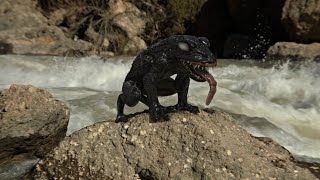 Venom The Last Dance 2024 - Epic River Fight Scene Hindi