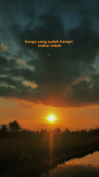 Bunga yg mekar itu terlihat Indah‼ #like #videoshort #storywa  #shorts #viral @andmeshofficial