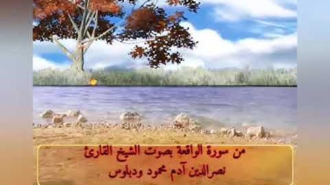 من سورة الواقعة بصوت الشيخ القارئ نصرالدين آدم محمود ودبلوس
