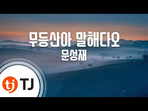 [TJ노래방] 무등산아말해다오 - 문성재 / TJ Karaoke