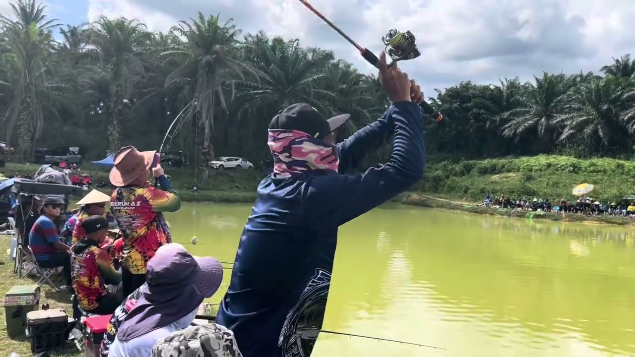 Suasana Pertandingan Memancing Di Kolam SGB Saratok 15/2/2026. #saratok #kolamsgb