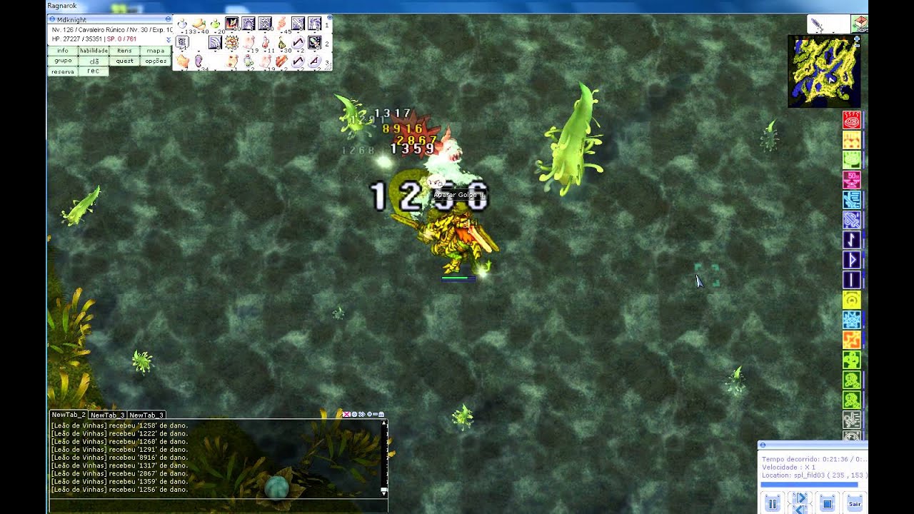 Mdknight RK Agi Crit x Leão de Vinhas - Bro 