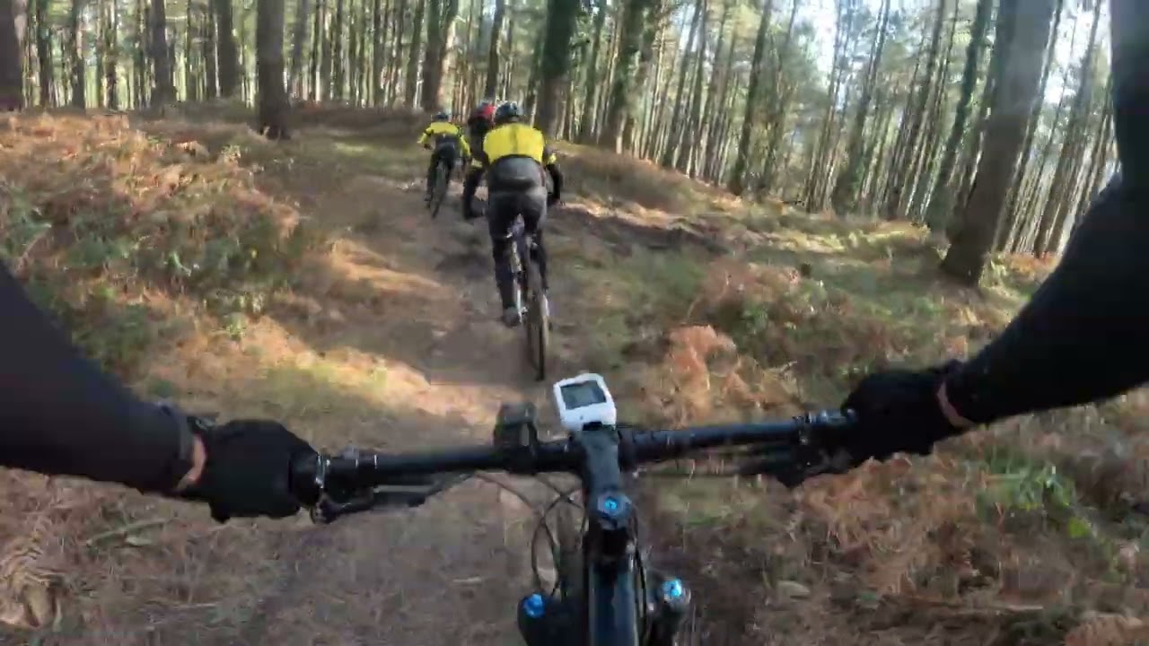 Calavera ☠️ day!