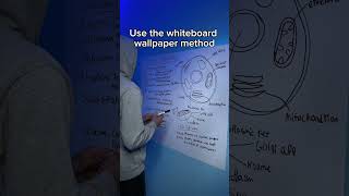 The perfect study hack📚✨️#studying #studentlife #productivity #whiteboard