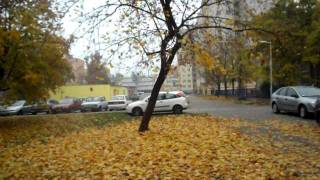 Ősz A Vizivárosban Székesfehérváron 003