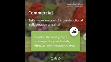 Commercial capabilities of Executive Insight Healthcare Consultants