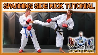 The Perfect Side Kick for Taekwondo Sparring | Van Roon Tutorial
