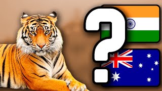 Guess The Country by The National Animal | Country Quiz Challenge screenshot 4