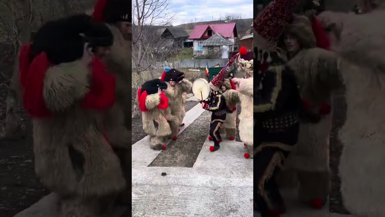 Urșii din Movileni ( Ovi )