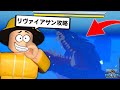 新しく追加されたレイドボス”リヴァイアサン”を召喚してみた結果...！？【ロブロックス/ROBLOX/ブロックスフルーツ】