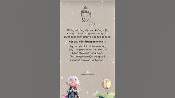 Hãy Mỉm Cười Và Cố Gắng Tiếp Tục #loiphatday #niemphat