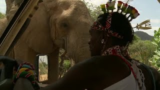 Life as a Kenyan Safari Guide | This Wild Life | BBC Earth