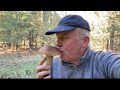 По грибы 🍄‍🟫 втроем! Красота ,сколько белых грибов нашел это нужно видеть! От такого дух захватывает