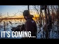 Duck Season is Coming... | We Are Going To Do It All