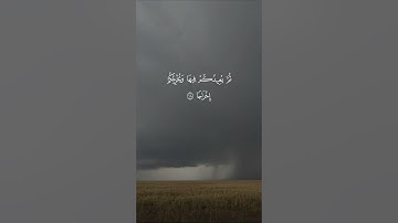 القارئ سالم الرويلي - سورة نوح | مقاطع قرآن قصيرة وحالات واتس إسلامية 🌱