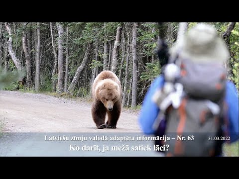 Video: Ziņu veidotājs - kas tas ir un ar ko viņš nodarbojas?