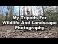 My Tripods For Wildlife And Landscape Photography