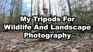 My Tripods For Wildlife And Landscape Photography screenshot 4