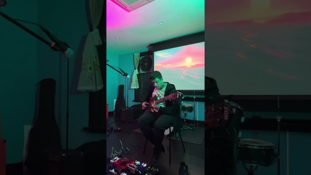 “Pigeon Life” by BassBowWow/Hari Nandu, at UckBilly, Greenpoint Brooklyn, Zon Sonus piccolo