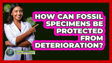 How Can Fossil Specimens Be Protected From Deterioration? - Earth Science Answers