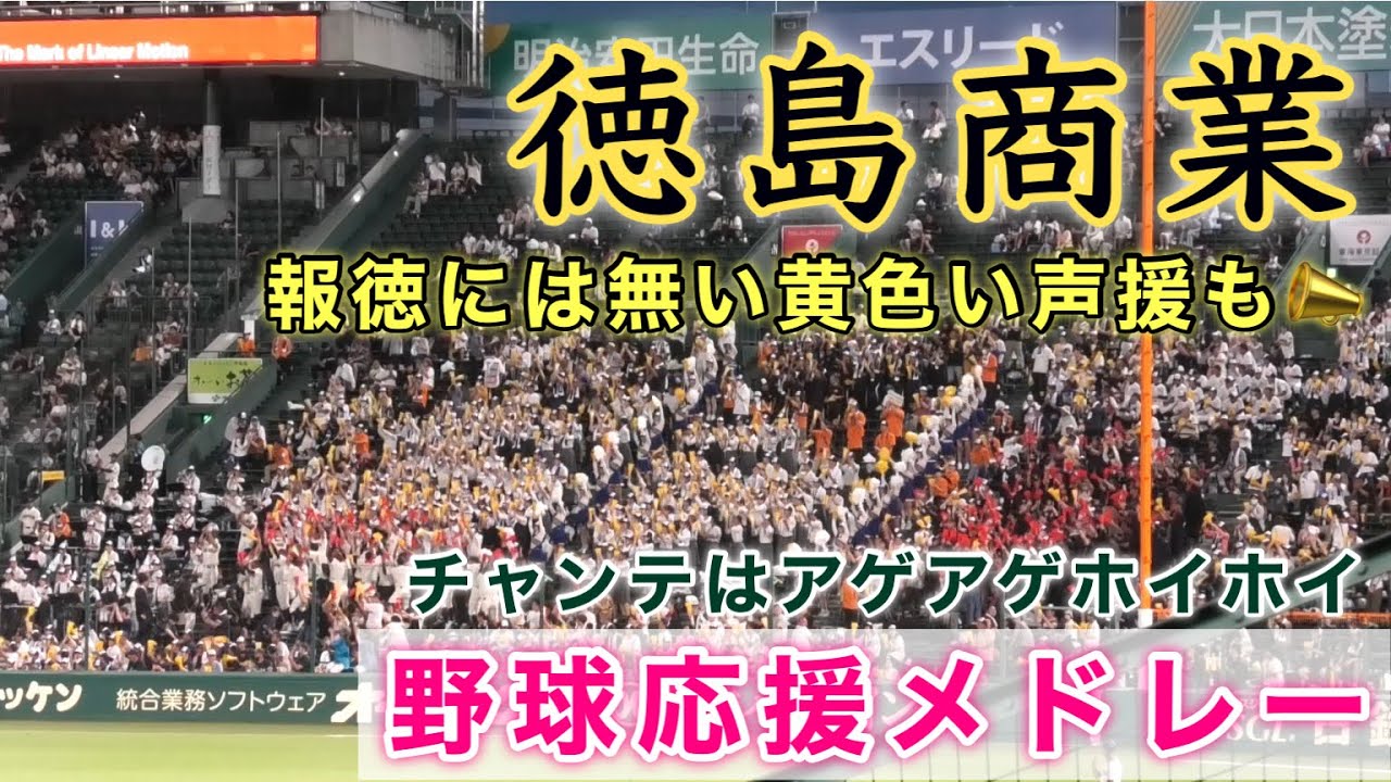 『チャンテはアゲホイ 徳島商業 野球応援メドレー』久しぶりの甲子園で黄色い声援が凄い 愛工大名電戦 第105回全国高等学校野球選手権記念大会 2023年8月7日