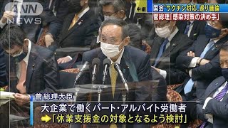 ワクチン対応巡り議論　菅総理「感染対策の決め手」(2021年2月4日)