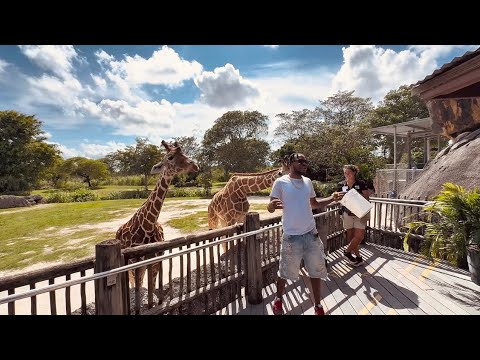 Miami Par With 450, Deno Crazy & The Team. Miami Zoo, Basket ball, Bowling