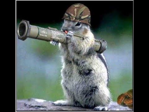 ალფას ნუბები ჩარლიზე (რა ვქნათ მეტს ვერ ვქაჩავთ :) )