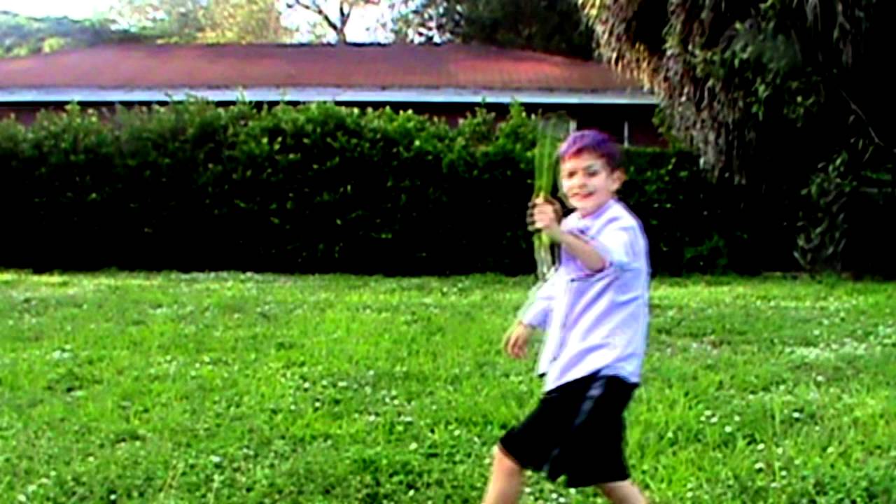 Wolfe and Bear Show - Levan Polka AKA Leek Dance